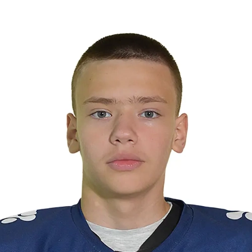 Domnin Nikita Andreevich