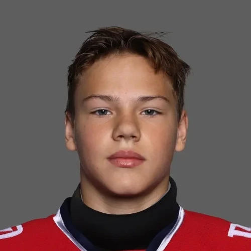 Gusev Roman Kirillovich