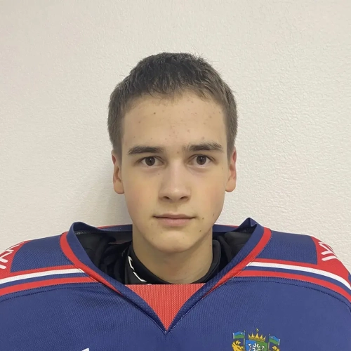 Dimuhametov Aleksandr Ruslanovich