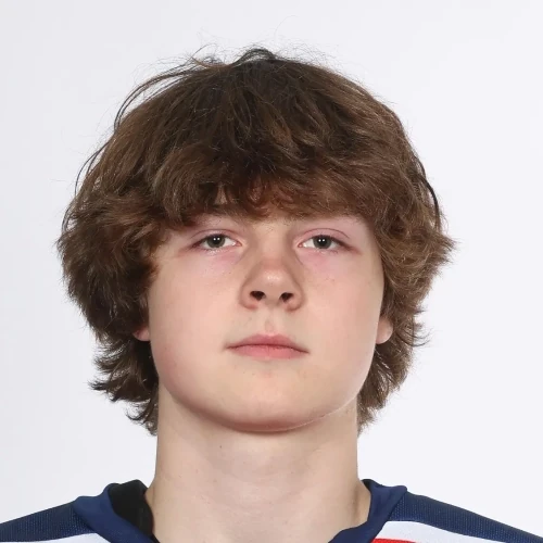 Meshkov Artem Dmitrievich