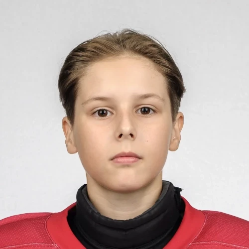 Nepomnyaschih Nikita Petrovich