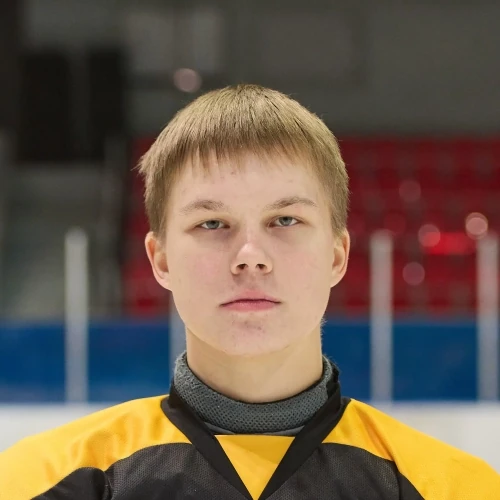Gladyshev Ilya Sergeevich