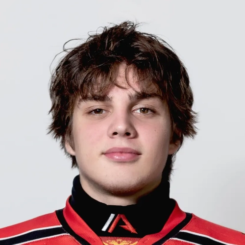 Mozlyakov Denis Vladislavovich