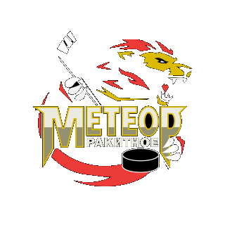 "Meteor" p. Rakitnoe