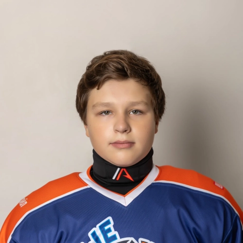 Mihailov Arsenii Vladimirovich