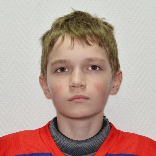 Гребенников Степан Валерьевич
