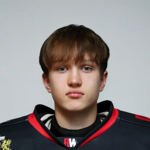 Mineev Egor Sergeevich