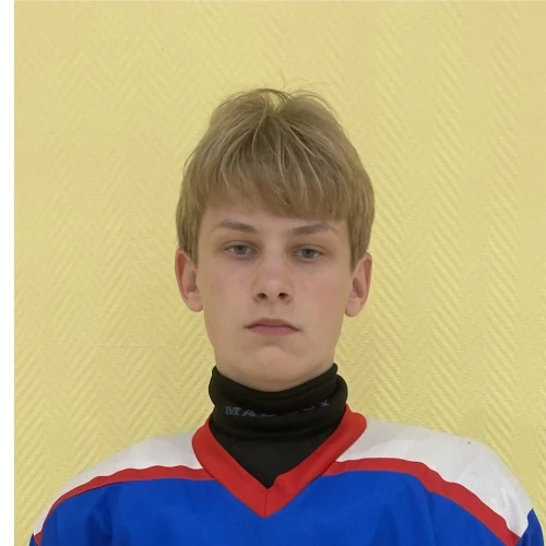Myshin Vladislav Vladimirovich