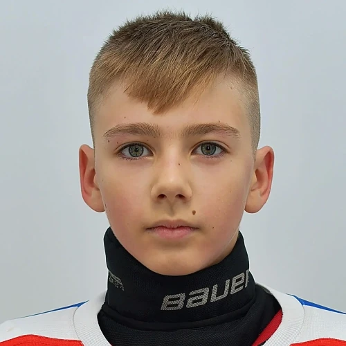 Losev Ilya Ivanovich