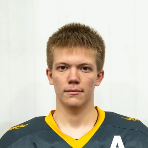 Ryzhih Arsenii Vyacheslavovich