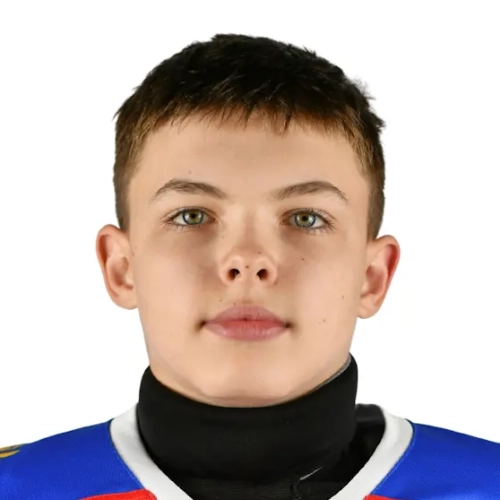 Nikitenkov Ilya Vadimovich