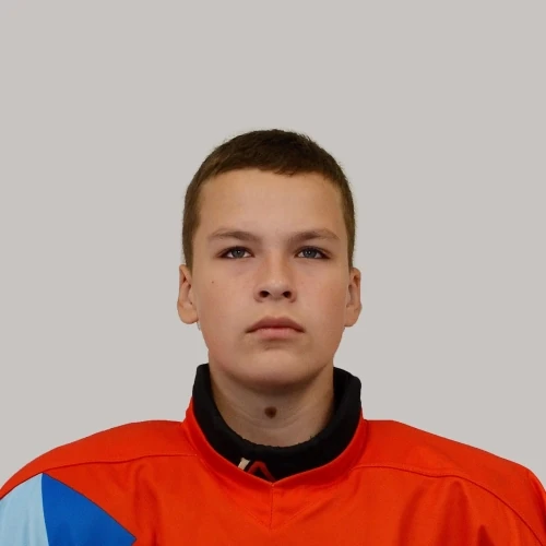 Shepelev Georgii Aleksandrovich