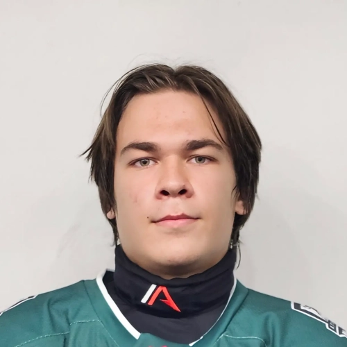 Shalin Nikita Aleksandrovich