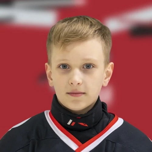 Petunin Artem Vitalevich