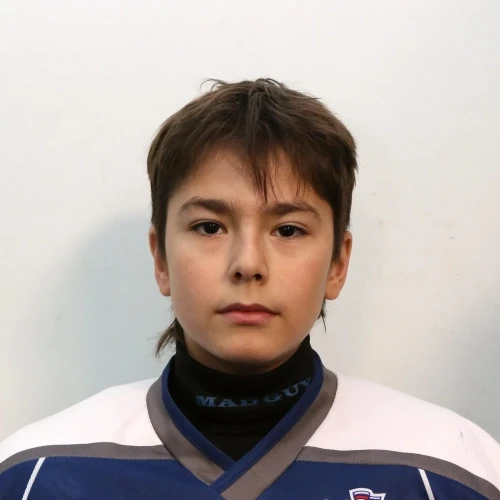 Aliev Timur Arturovich