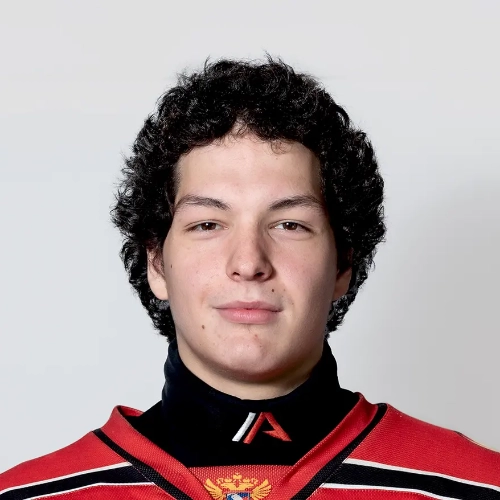 Vepritskii Nikita Artemovich