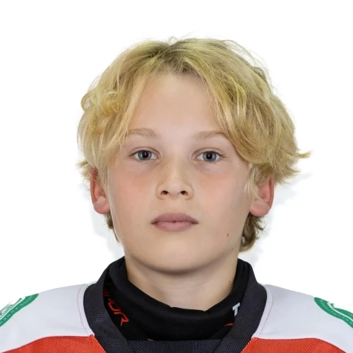 Sandrygailo Artem Vladislavovich