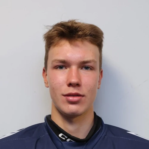 Makarenko Ilya Sergeevich