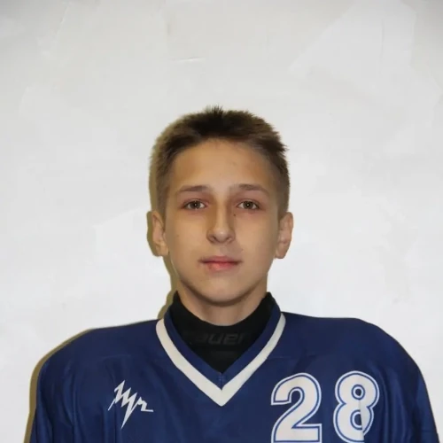 Anisimov Timofei Arturovich