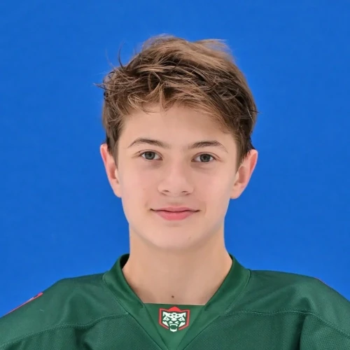 Maulavetdinov Marat Almazovich
