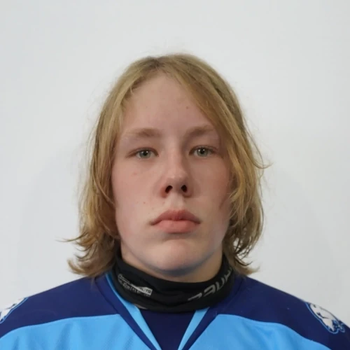 Tihonov Vyacheslav Andreevich