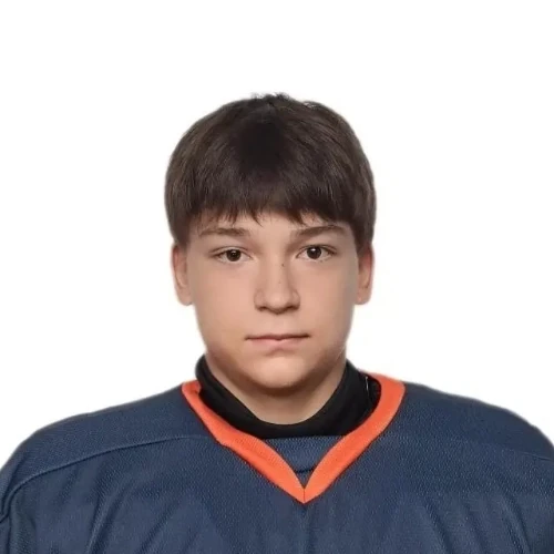 Moiseev Vladislav Vyacheslavovich