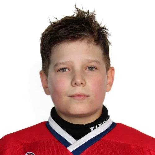 Borovikov Artem Pavlovich