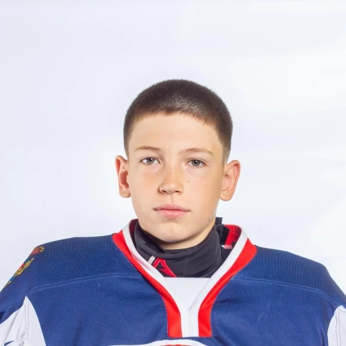 Novikov Vladislav Dmitrievich