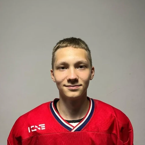 Andreev Artem Dmitrievich