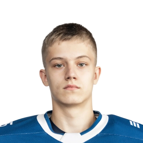Chebotarev Tihon Aleksandrovich
