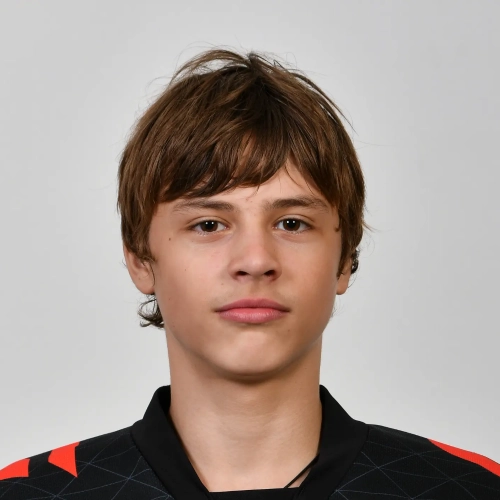 Panov Artemii Sergeevich