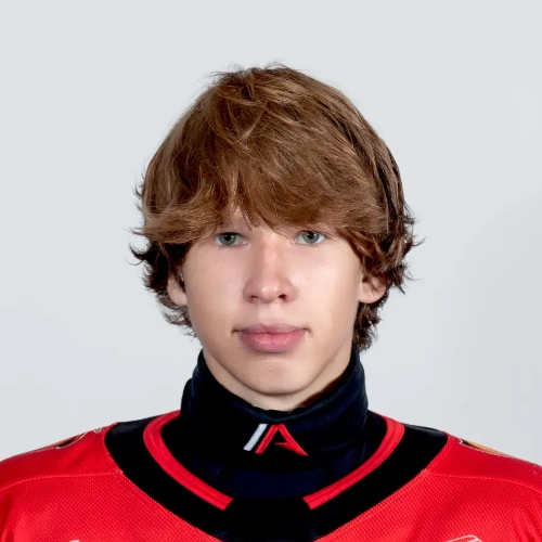 Borovkov Mihail Evgenevich