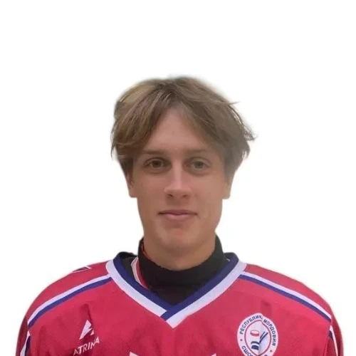 Sokolov Artem Andreevich
