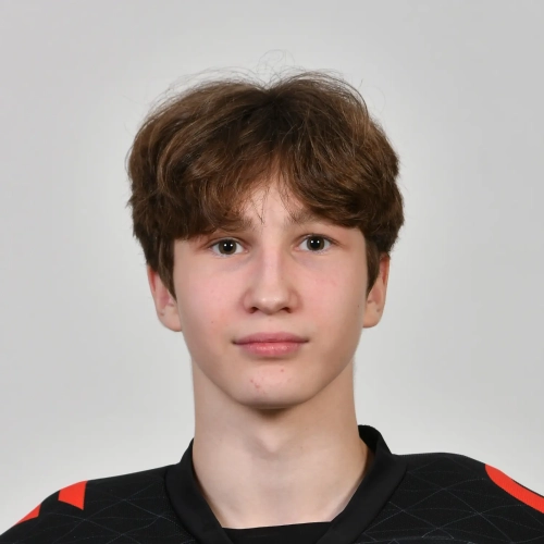 Черепанов Дмитрий Анатольевич