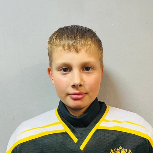 Lyapin Andrei Mihailovich