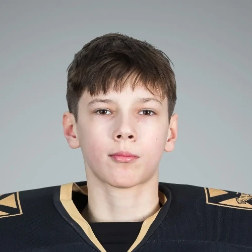 Novoseltsev Nikita Yaroslavovich
