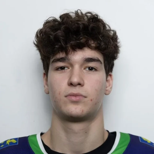 Tuaev David Alanovich