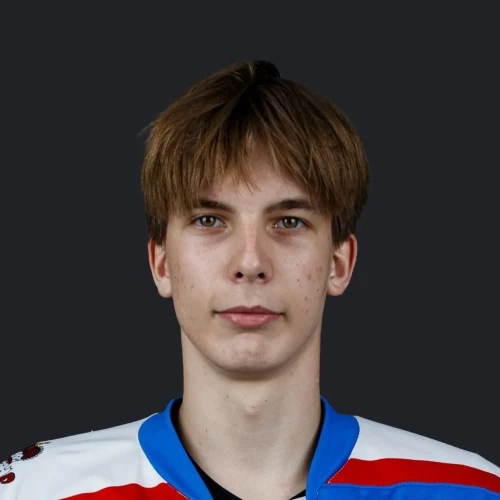 Lapitskii Vladislav Olegovich