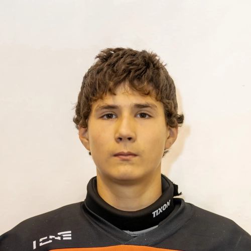 Danilichev Mihail Igorevich