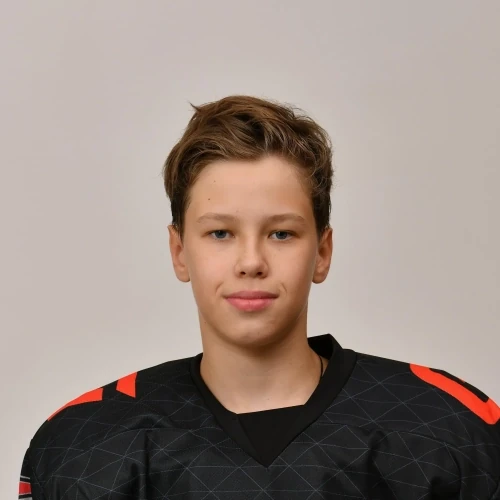 Shapin Artem Denisovich
