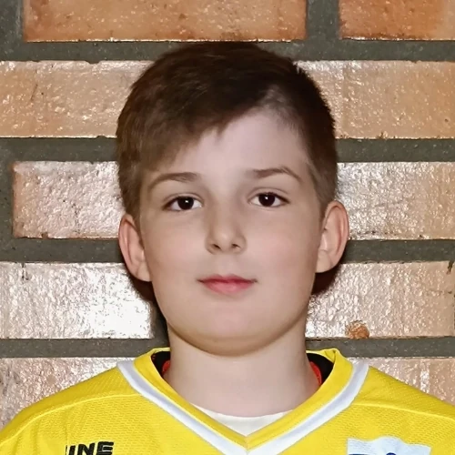 Artel Daniel Stanislavovich