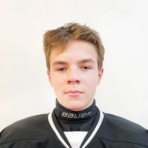 Gornov Artem Vladimirovich
