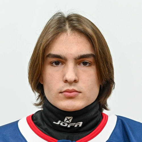 Mohov Arsenii Aleksandrovich