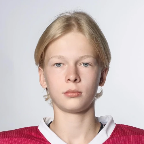 Safin Timur Fedorovich
