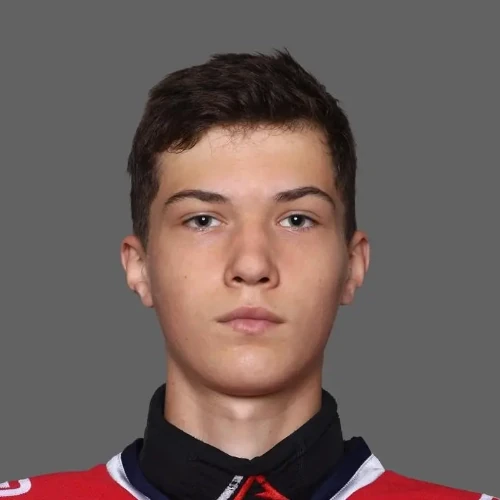 Grigorev Ivan Alekseevich