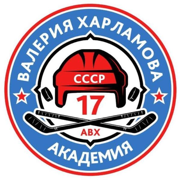 Akademiya Valeriya Harlamova 2014