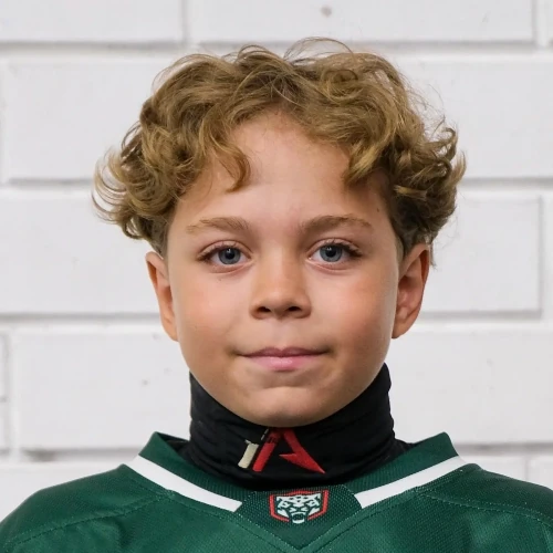 Baev Nikita Artemevich