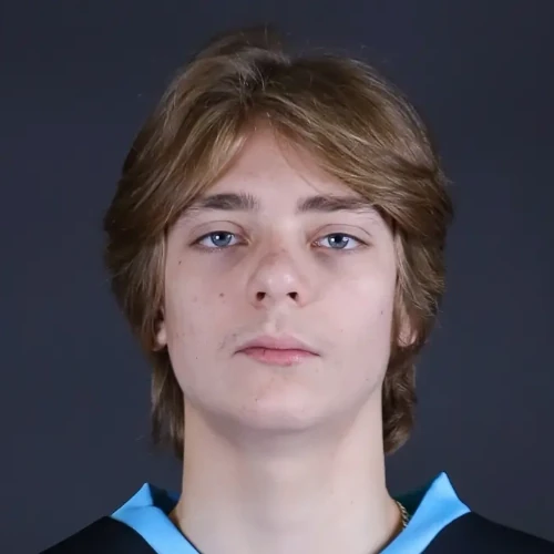Karpenko Vladislav Alekseevich