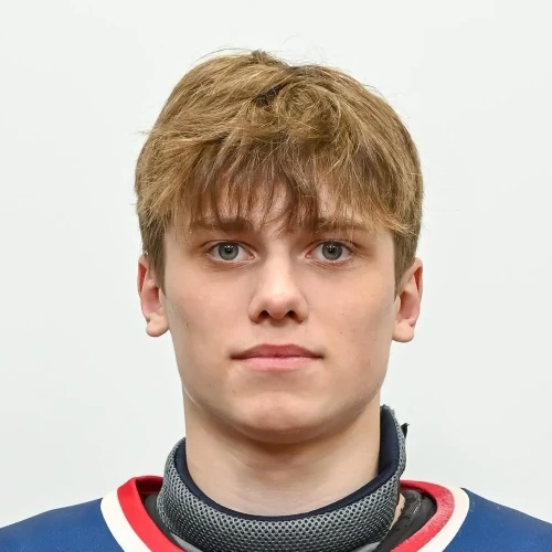 Schelokov Artem Sergeevich