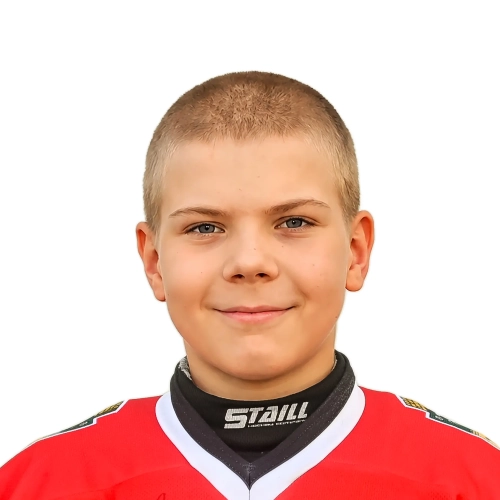 Arapov Vladislav Sergeevich
